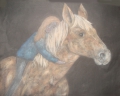 II ����� � ��������� 13-18 ��� - ������ �����, 15 ���,"Horses are my love" BENEDICT SCHOOL